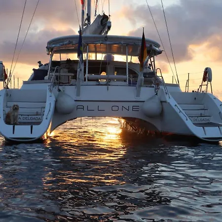 Catamaran One 蓬塔德尔加达